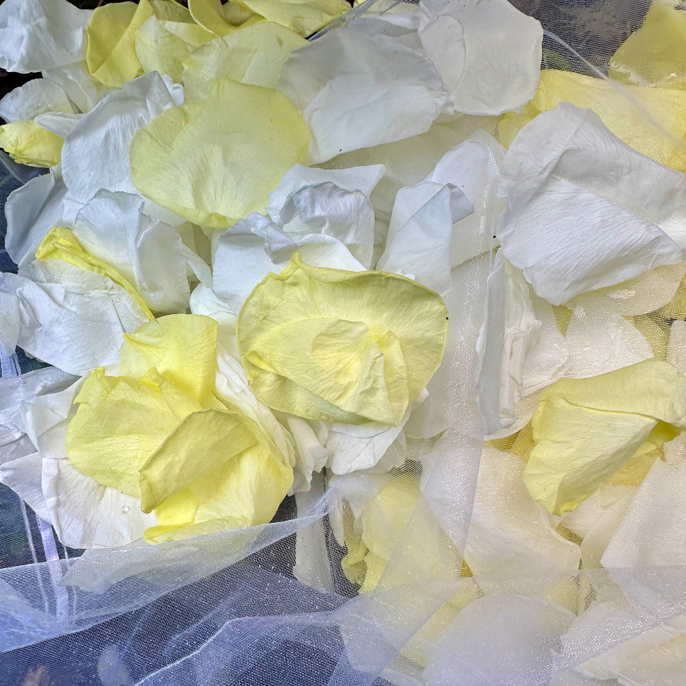 Lemon Meringue - Freeze Dried Soft Rose Petal Confetti