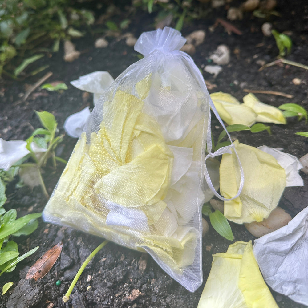 Lemon Meringue - Freeze Dried Soft Rose Petal Confetti