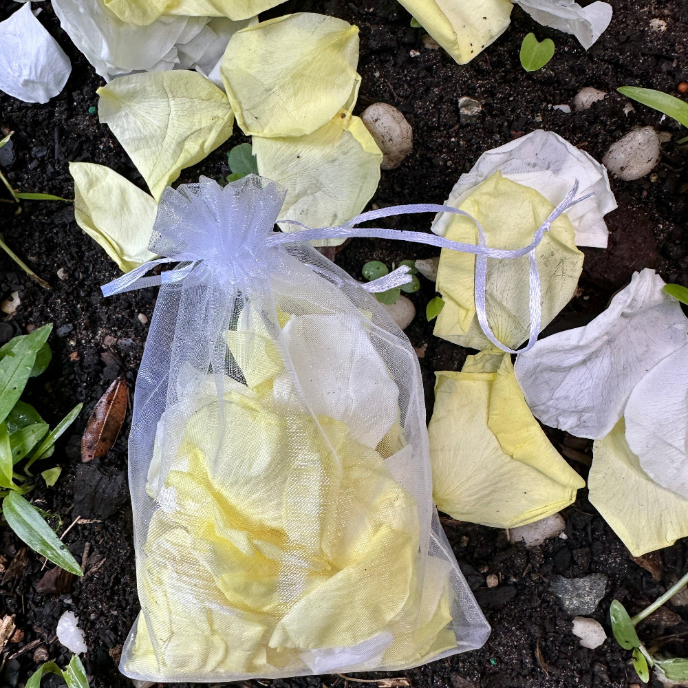 Lemon Meringue - Freeze Dried Soft Rose Petal Confetti