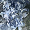 Freeze dried Blue Hydrangea Wedding Petal Confetti