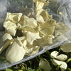 Yellow - Freeze Dried Rose Petal Confetti