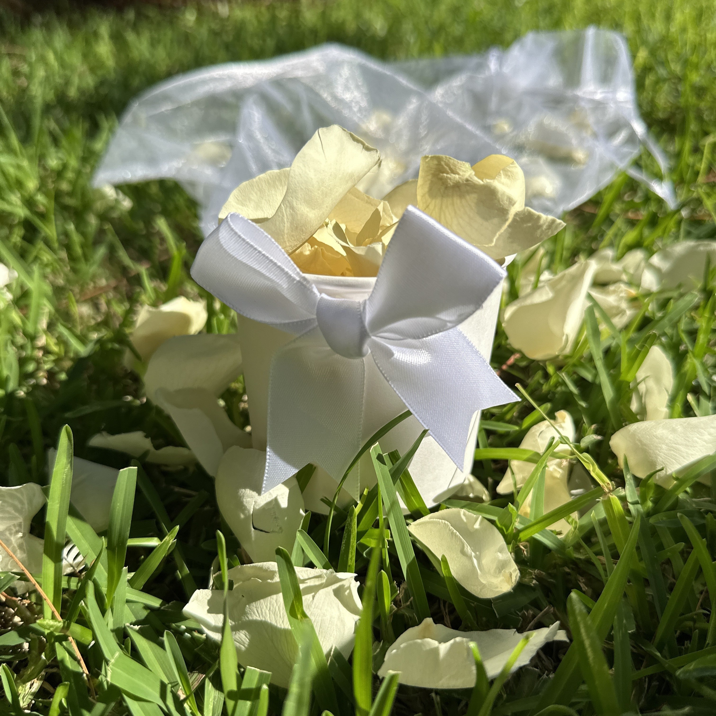 30 Individually Pre-Packaged Tubs Biodegradable Rose Petal Confetti- Yellow