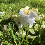 30 Individually Pre-Packaged Tubs Biodegradable Rose Petal Confetti- Yellow