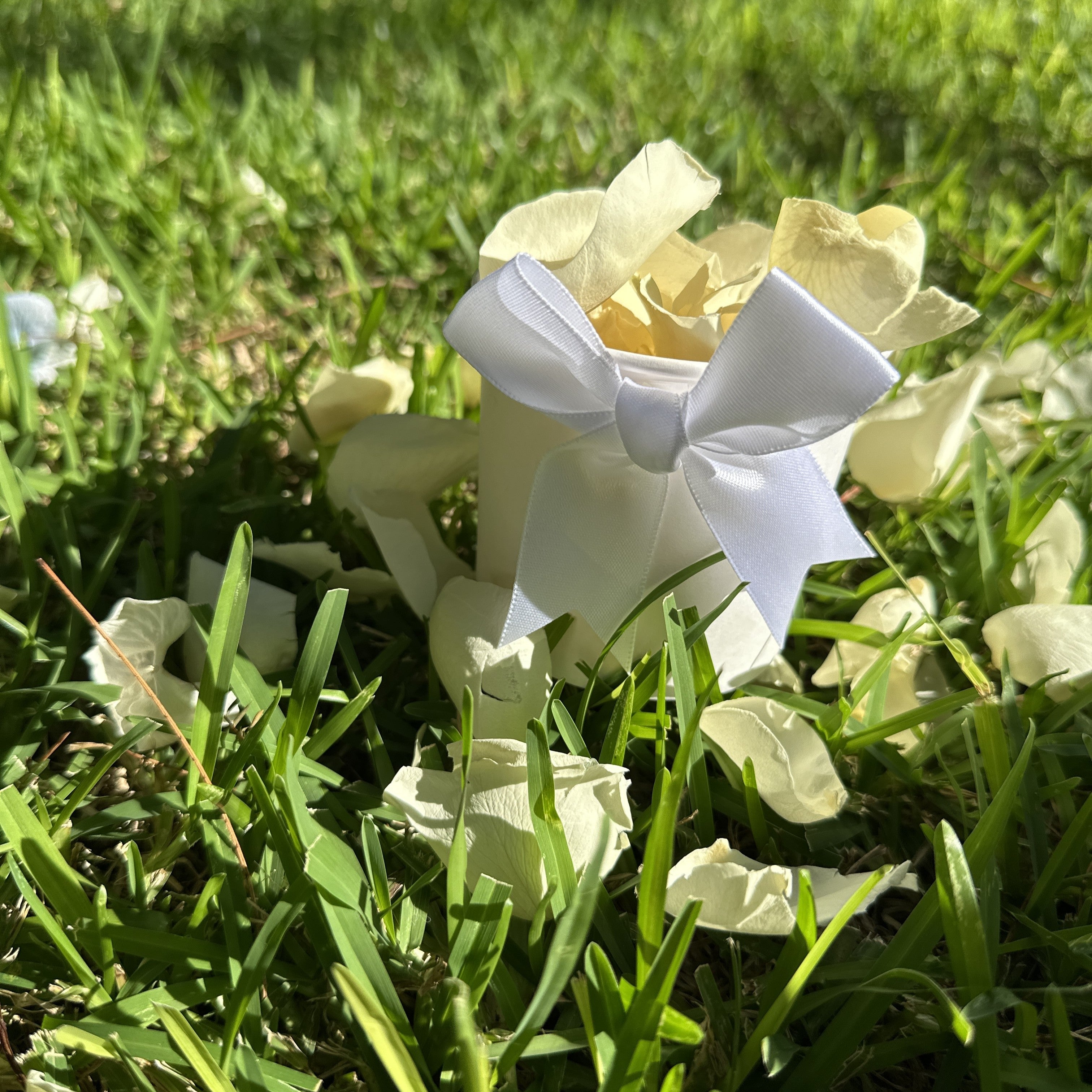 30 Individually Pre-Packaged Tubs Biodegradable Rose Petal Confetti- Yellow