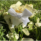 Yellow - Freeze Dried Rose Petal Confetti