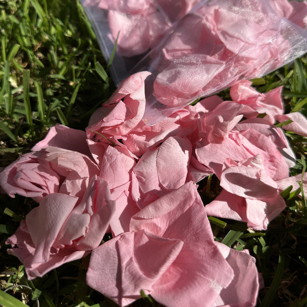 Bubblegum Pink - Freeze Dried Soft Rose Petal Confetti