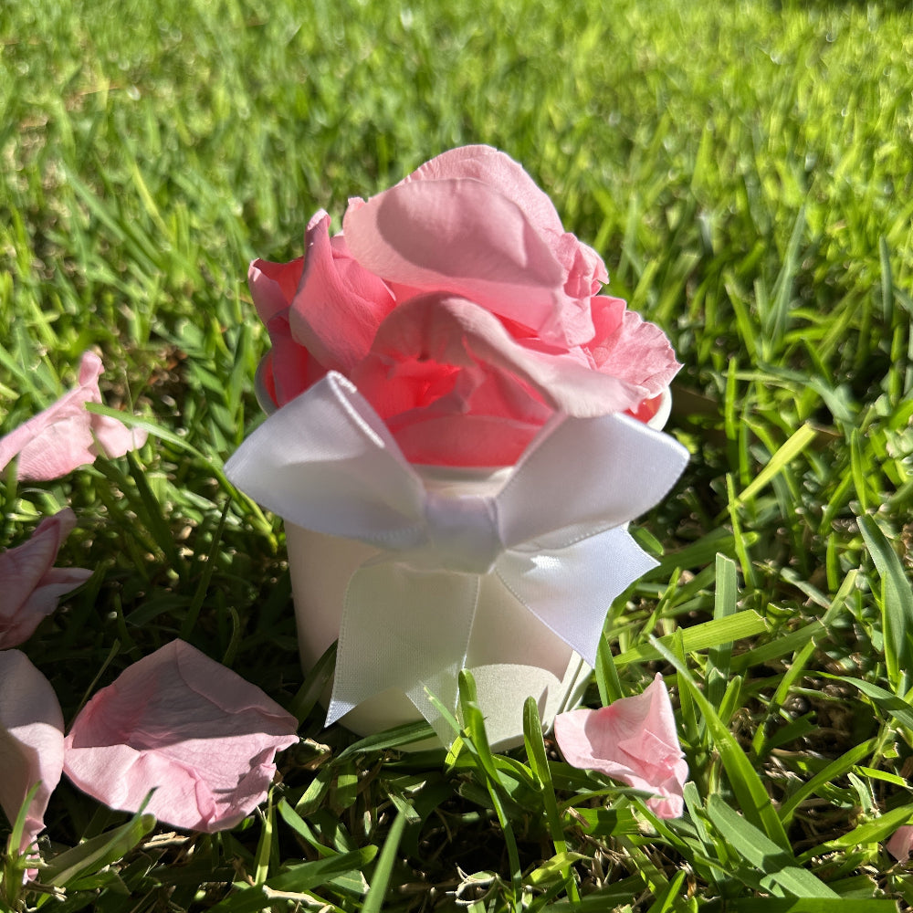 Bubblegum Pink - Freeze Dried Soft Rose Petal Confetti