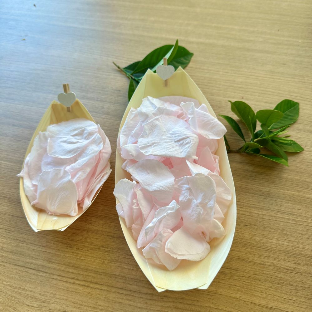 Large Wooden confetti serving boats 23cm Pack of 50