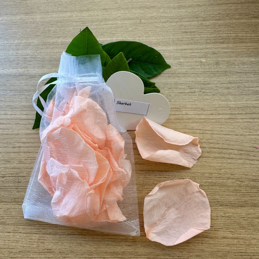 30 Individually Pre-Packaged Organza Bags Biodegradable Rose Petal Confetti - Sherbet