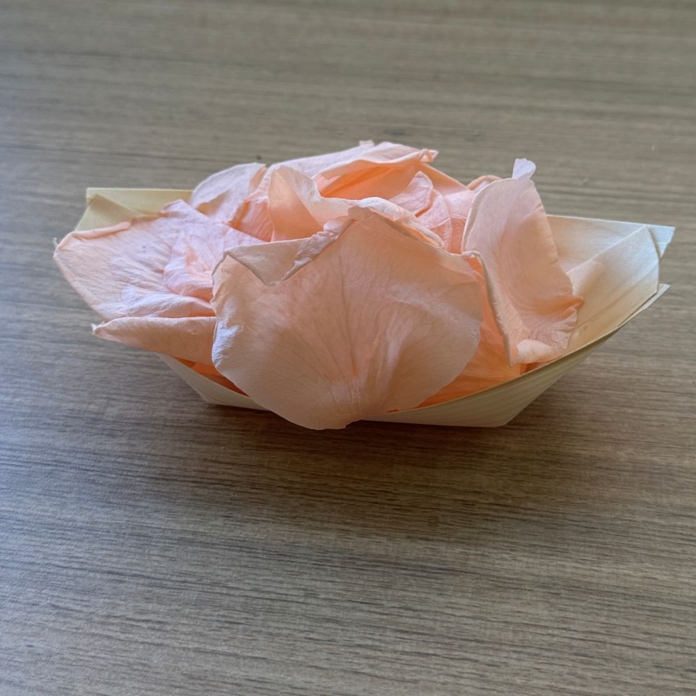 Wooden Confetti Serving Boats Medium 15cm Pack 50