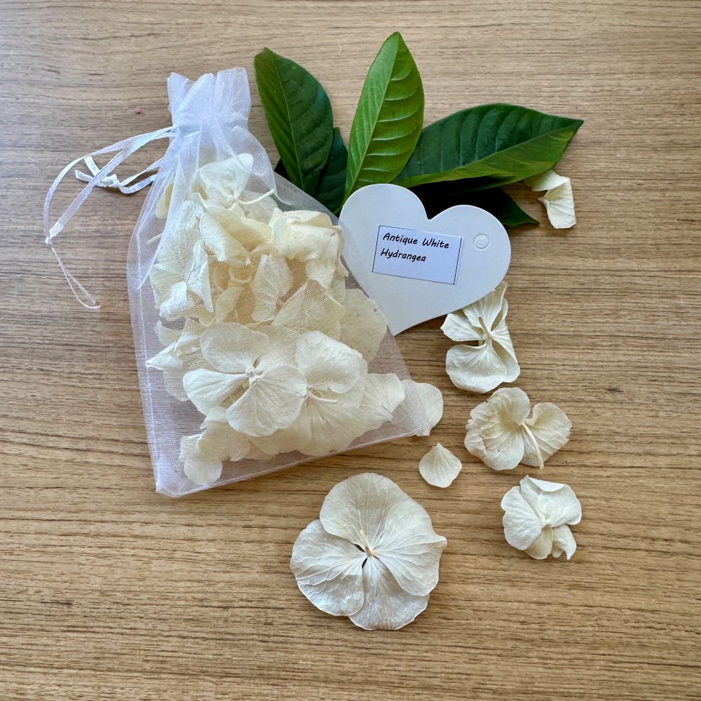 Free Petal Confetti Sample Pack of 4