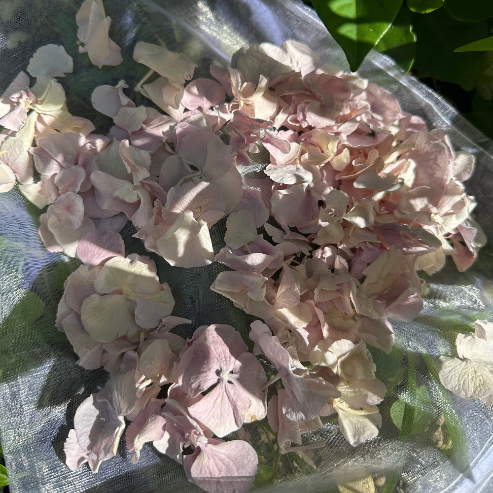 Freeze Dried Violet Mist Hydrangea Wedding Petal Confetti