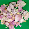 Freeze Dried Rose Petal Confetti Spring Breeze.