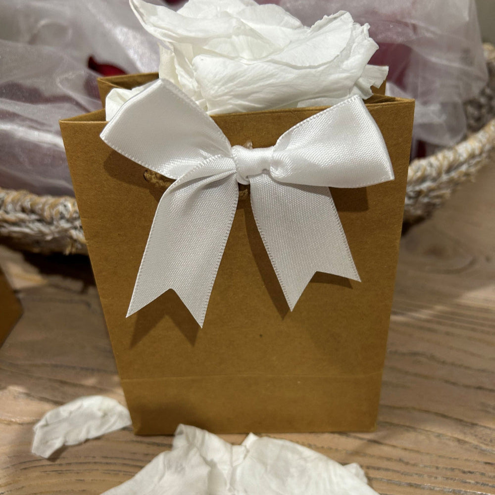 Memorial Natural Bags XS Kraft 14cm x 11cm x 6.5cm Pack of 10 Soft Snow White