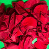 Eco-friendly freeze dried and preserved rose petal confetti Crimson Red