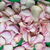 Eco-friendly freeze dried and preserved rose petal confetti Summer Sensation