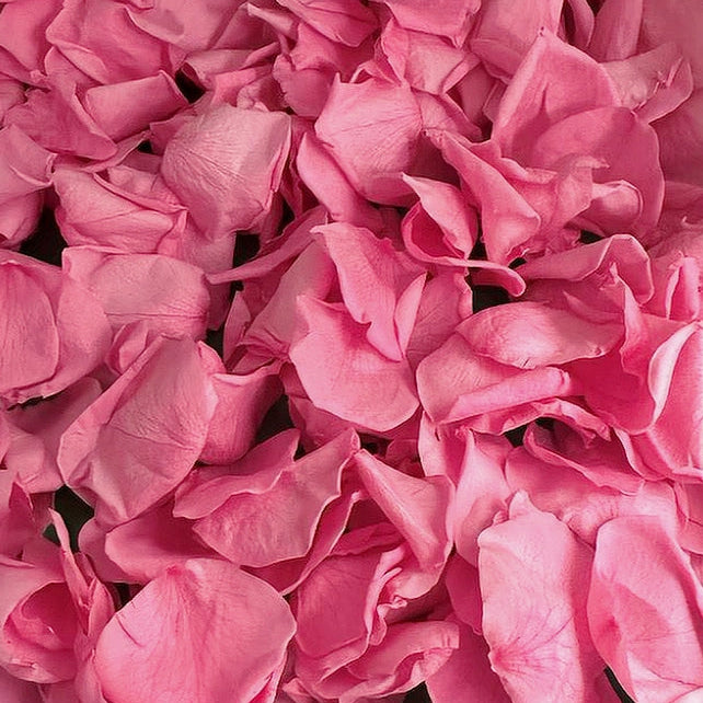 Barbie Pink Freeze Dried Preserved Rose Petal Confetti on green background