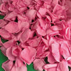 Freeze Dried Eco Friendly Preserved Rose Petal Confetti Barbie Pink