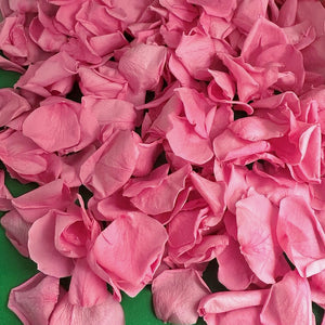 Barbie Pink Freeze Dried Preserved Rose Petal Confetti on green background