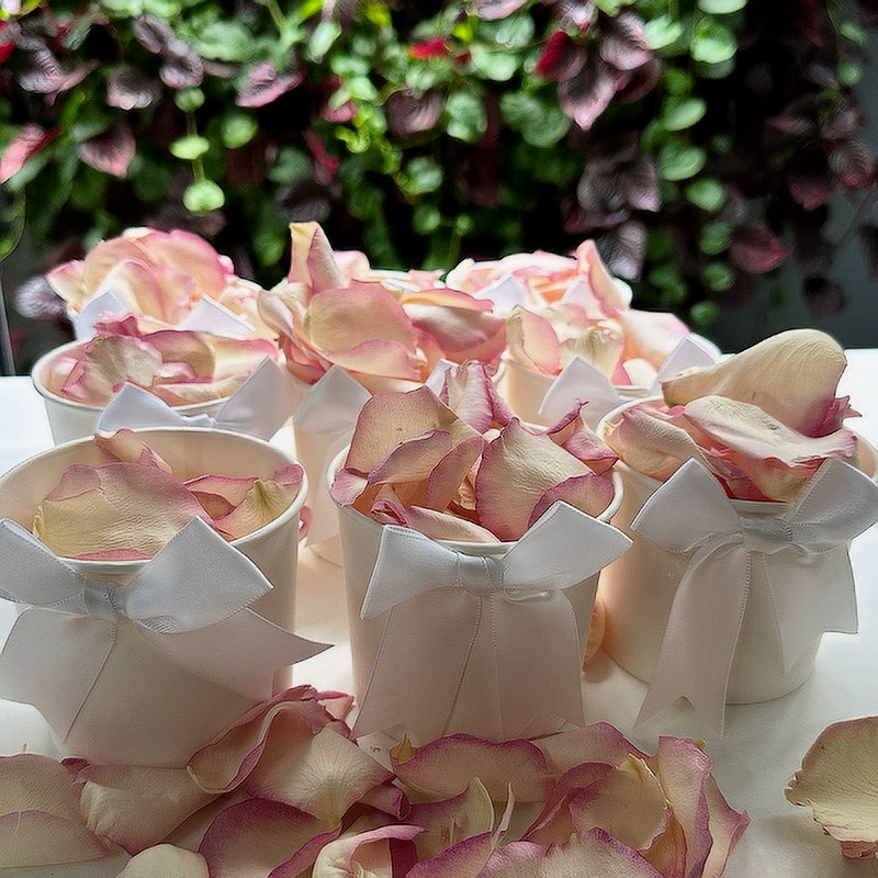 White Wedding Confetti Tubs Pack of 10 (Unfilled)