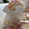 Eco-friendly freeze dried and preserved rose petal confetti Summer Sensation
