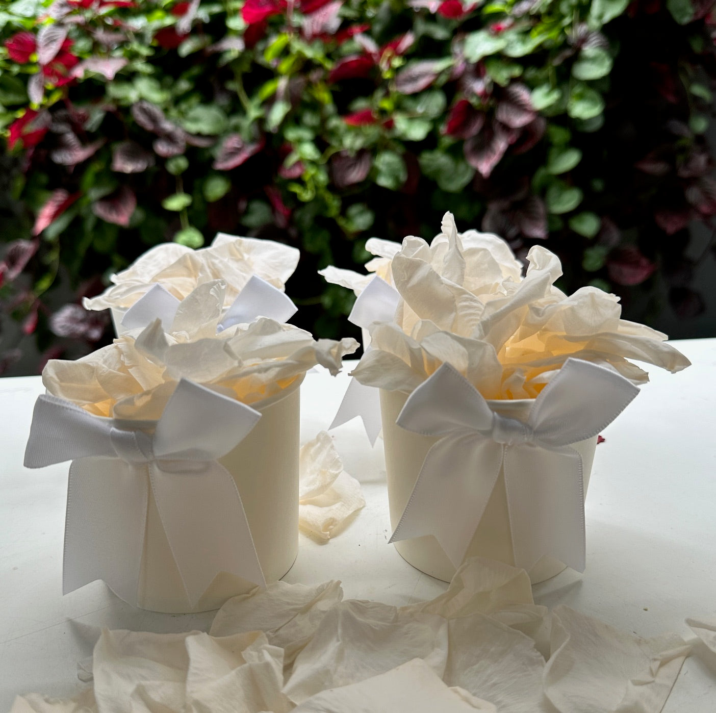 30 Individually Pre-Packaged Tubs Biodegradable Rose Petal Confetti -Peaches and Cream