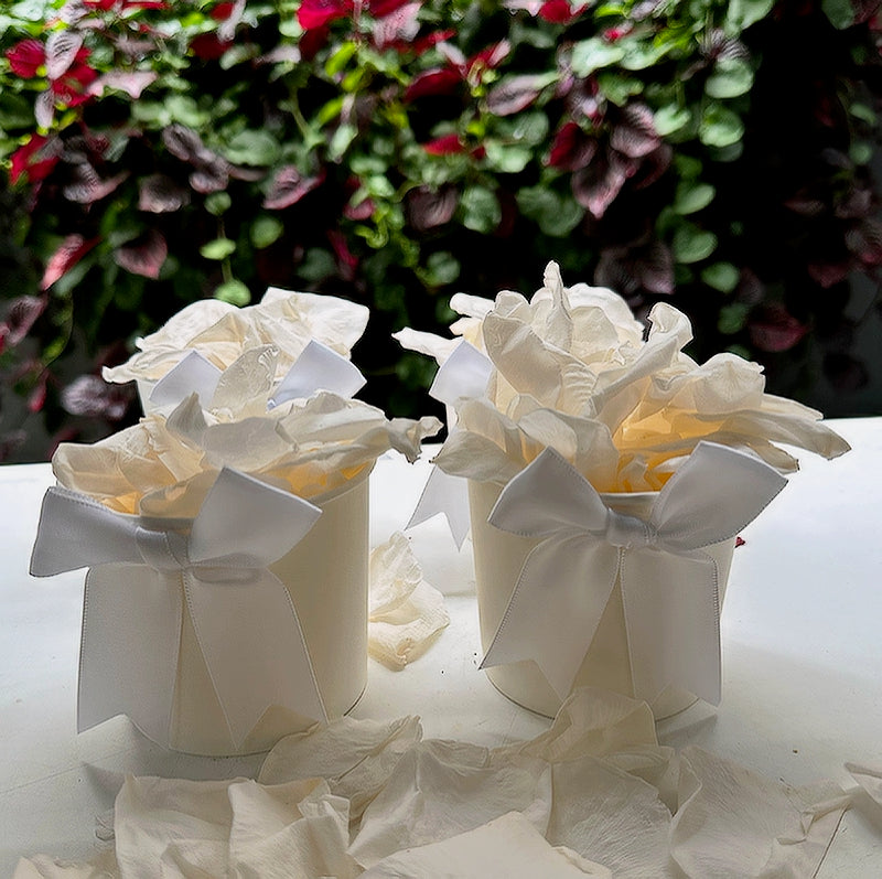 30 Individually Pre-Packaged Tubs Biodegradable Rose Petal Confetti-Antique White