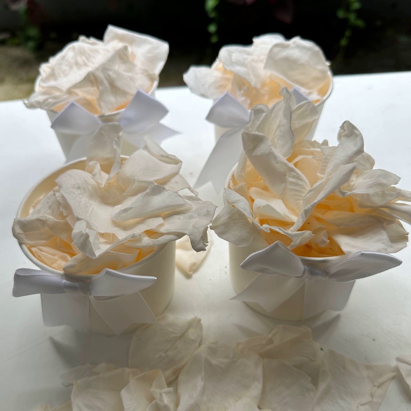 Freeze Dried and Preserved  Rose Petal Confetti Soft Peach in set of 4 pre-packaged tubs