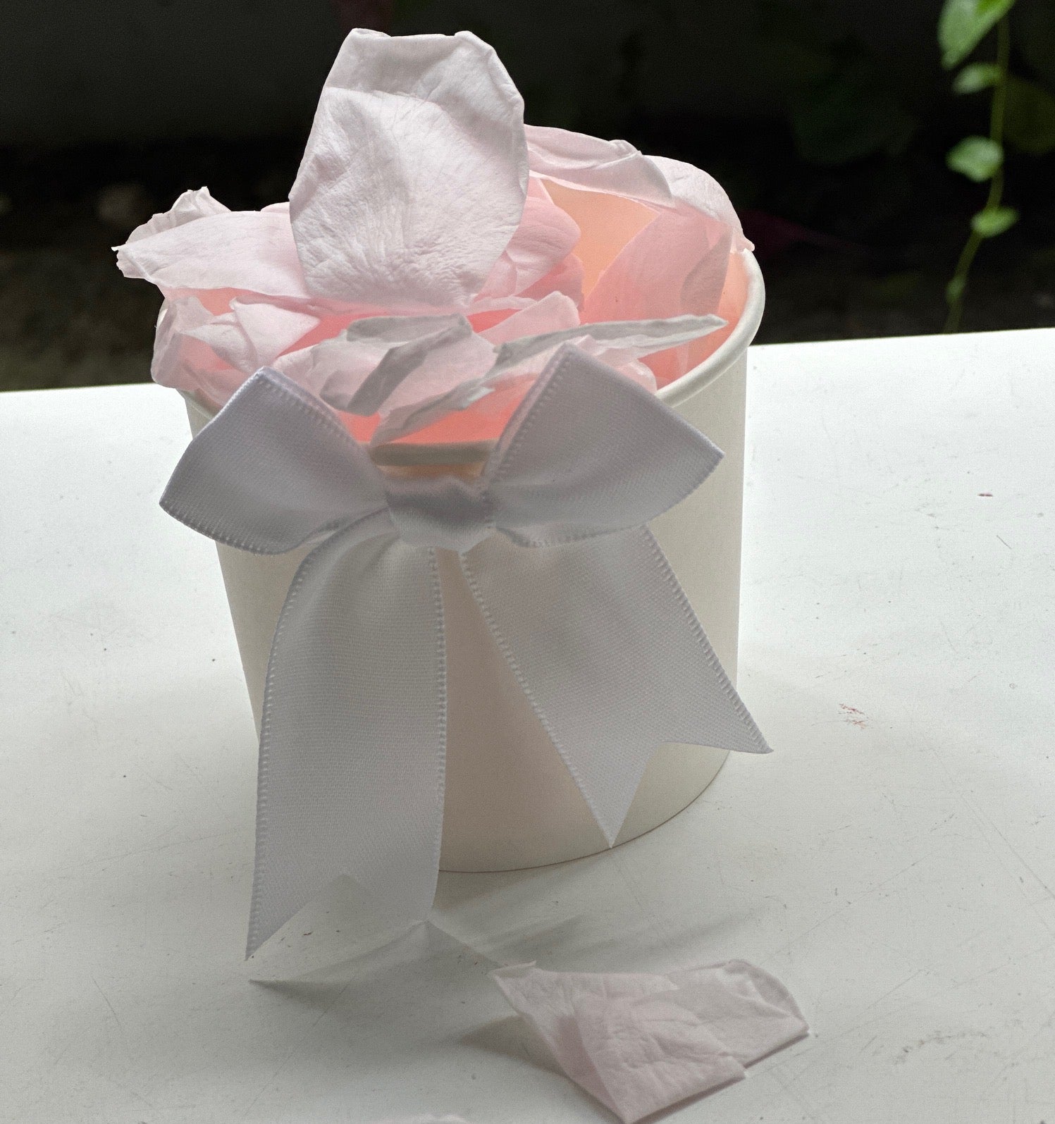 30 Individually Pre-Packaged Tubs Biodegradable Rose Petal Confetti -Pale Cotton Candy Pink