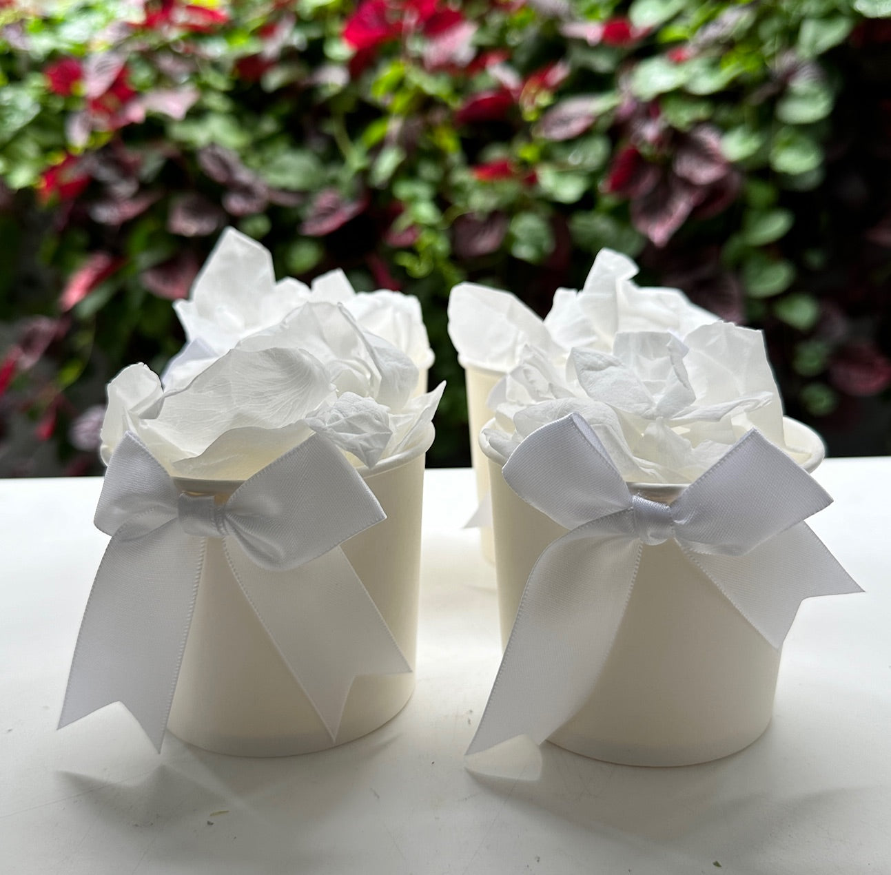 30 Individually Pre-Packaged Tubs Biodegradable Rose Petal Confetti- Snow White