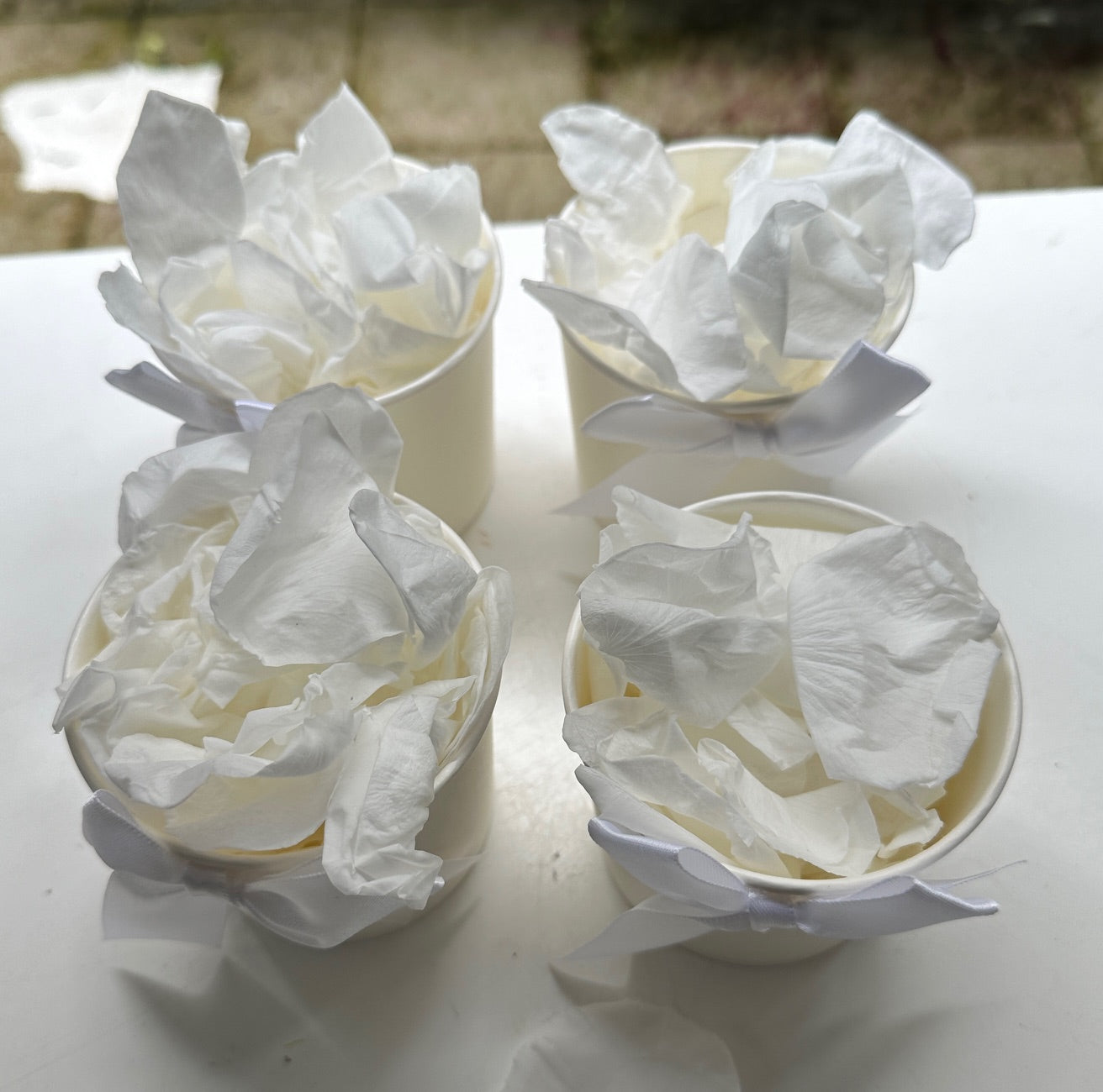 30 Individually Pre-Packaged Tubs Biodegradable Rose Petal Confetti- Snow White