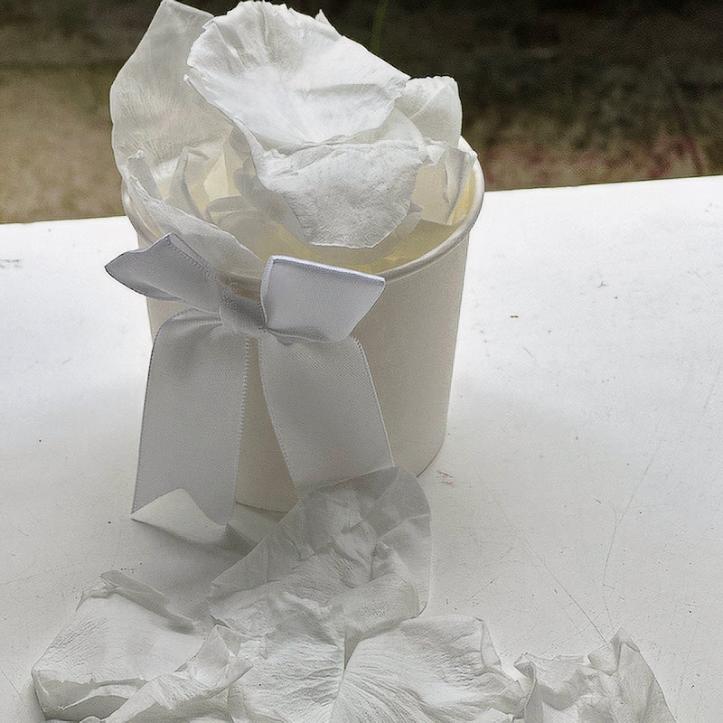 Snow White - Soft Freeze Dried Large Rose Petal Confetti