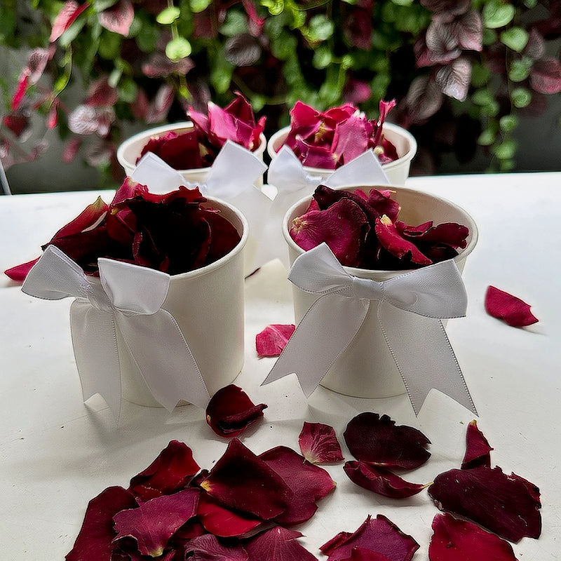 White Wedding Confetti Tubs Pack of 10 (Unfilled)