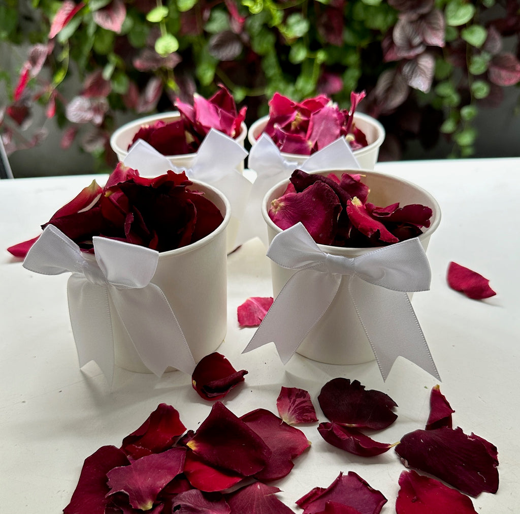 30 Individually Pre-Packaged Tubs Biodegradable Rose Petal Confetti -Magenta