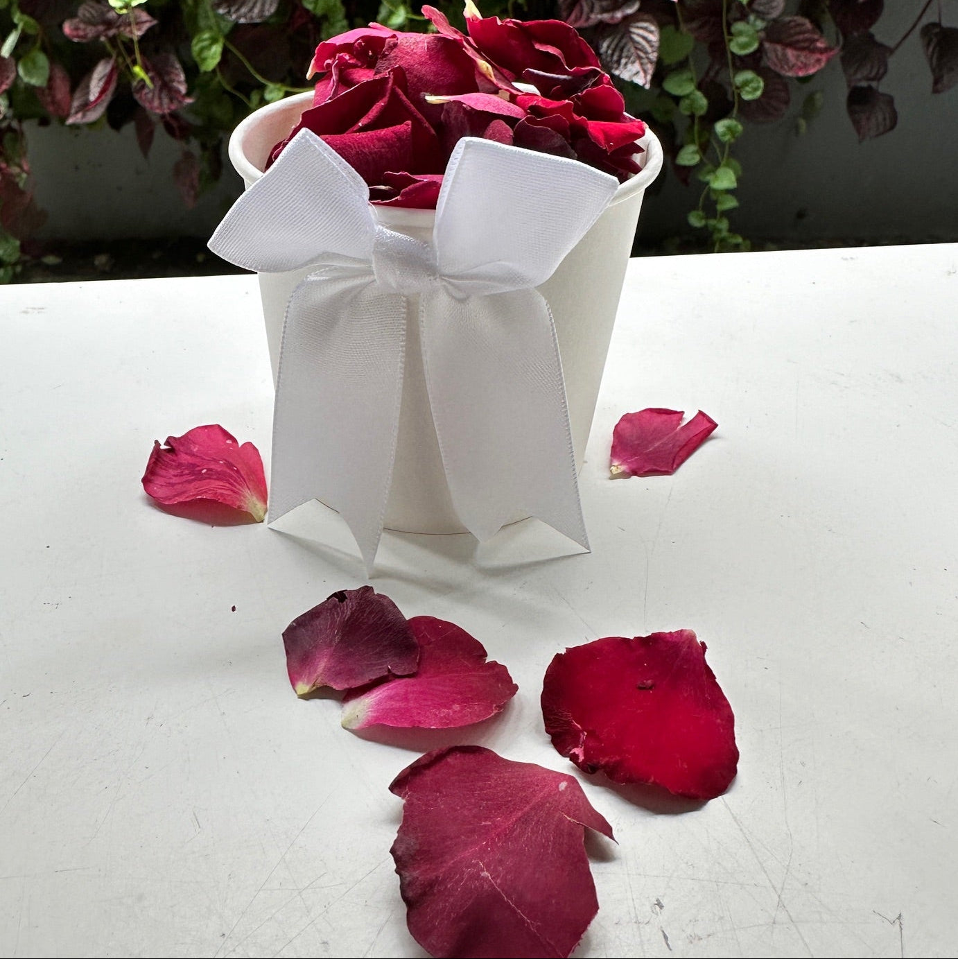 30 Individually Pre-Packaged Tubs Biodegradable Rose Petal Confetti -Ruby Red