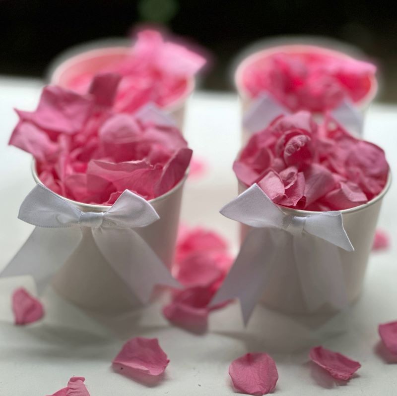 30 Individually Pre-Packaged Tubs Biodegradable Petal Confetti -Barbie Pink