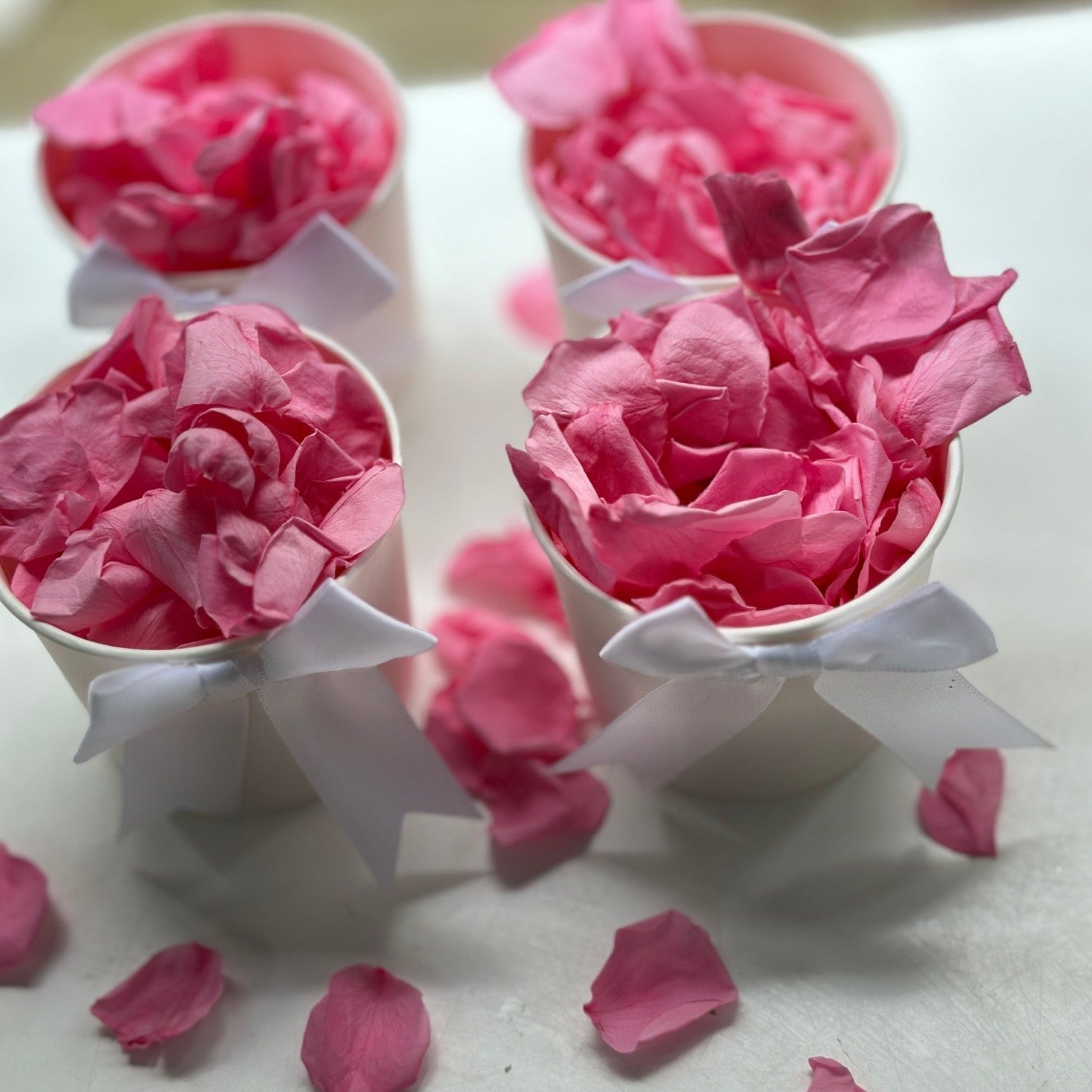 Pink Rose petals pre Packed in individual tubs