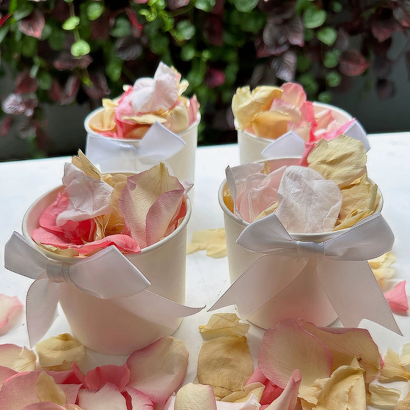 Spring Breeze Freeze Dried Rose Petal Confetti in set of 4 pre-packaged tubs