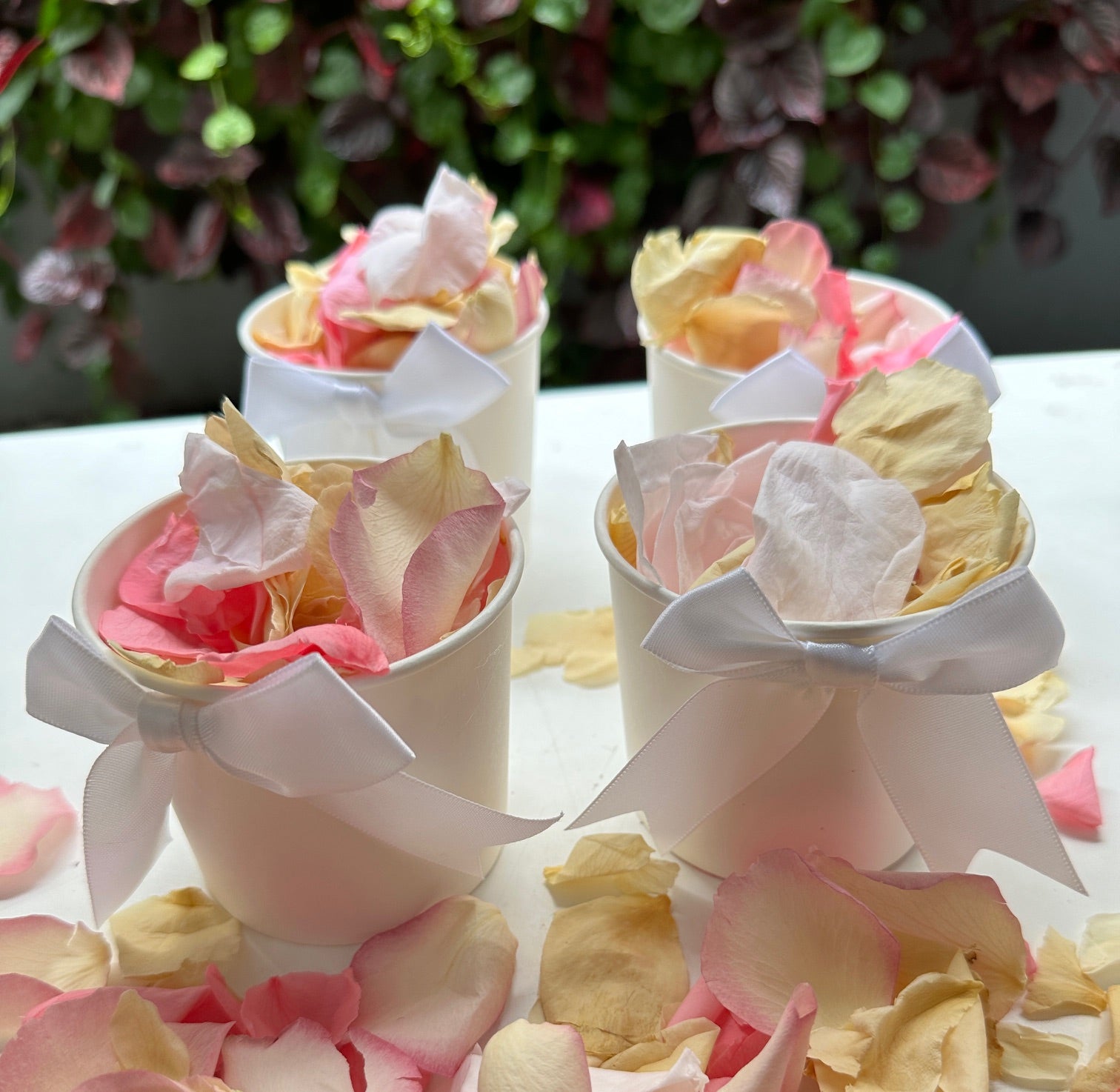 Biodegradable Rose Petal Confetti- Spring Breeze 30  Individual Tubs