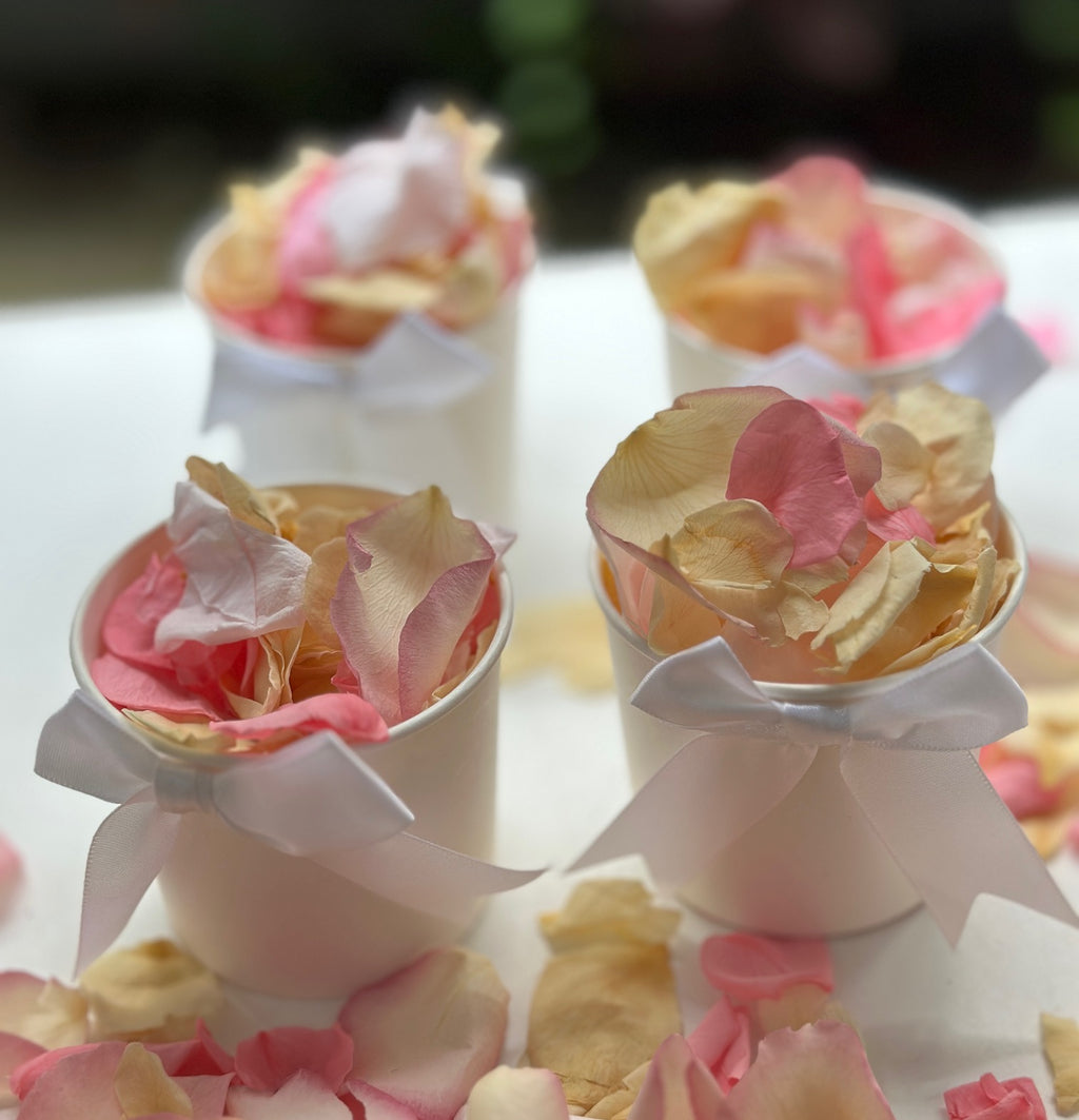 Biodegradable Rose Petal Confetti- Spring Breeze 30  Individual Tubs
