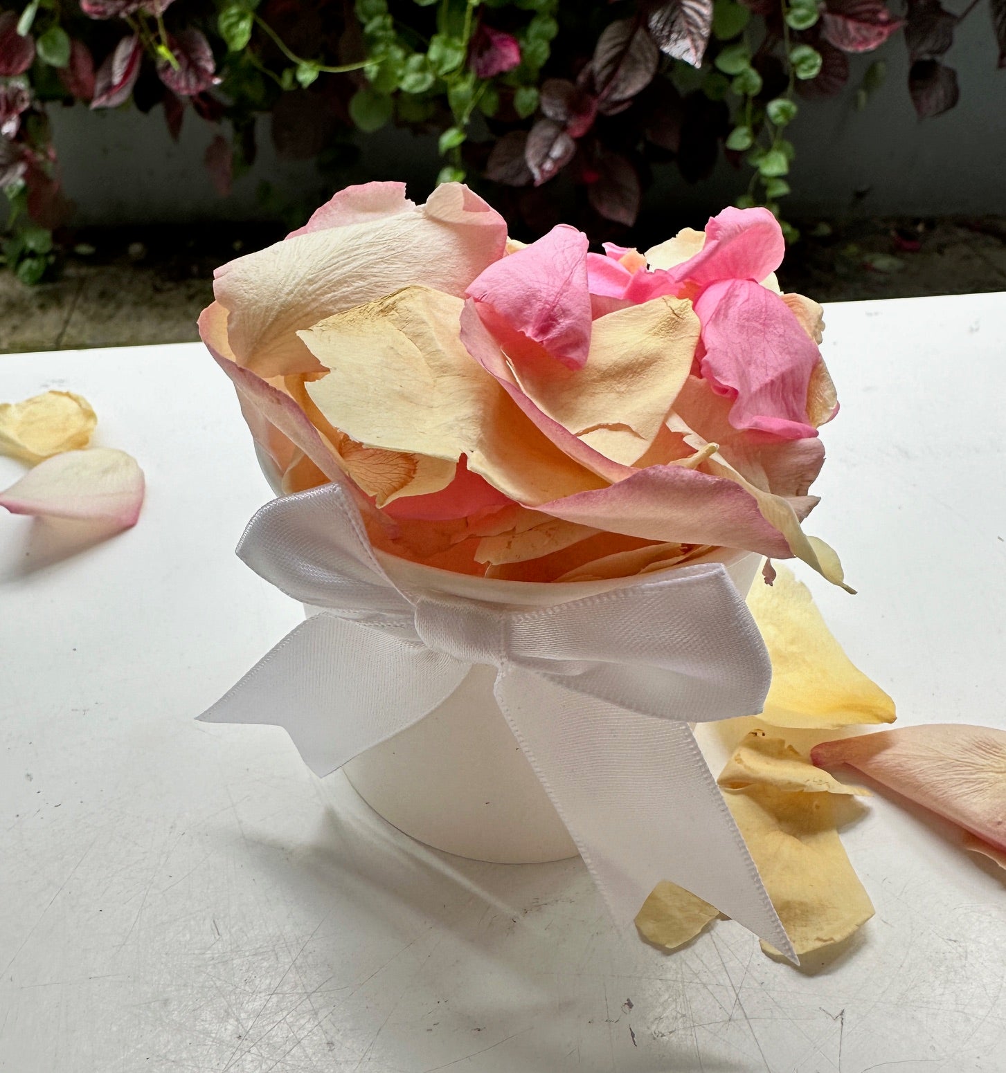 30 Individually Packaged Tubs Biodegradable Rose Petal Confetti- Spring Breeze