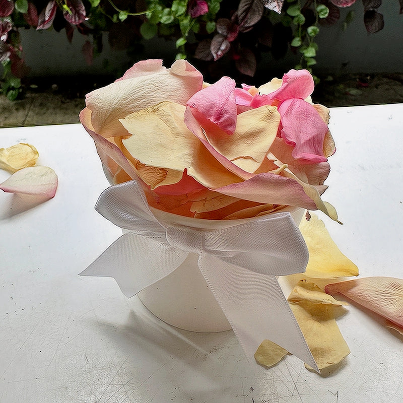 Biodegradable Rose Petal Confetti- Spring Breeze 30  Individual Tubs