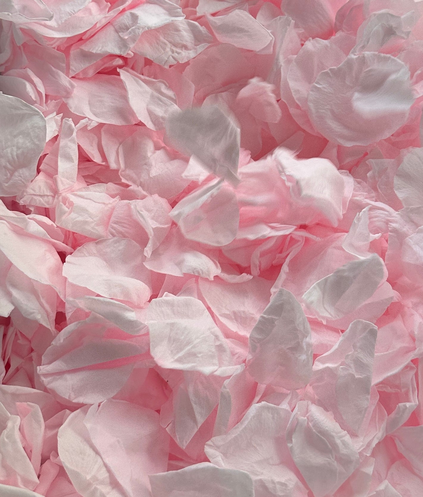 Pale Cotton Candy Pink Large- Freeze Dried Soft Rose Petal Confetti