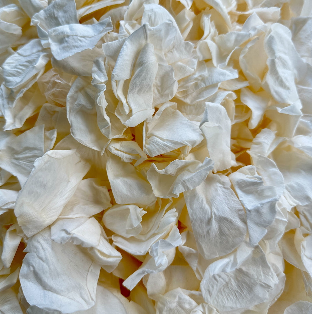 Soft Peach - Freeze Dried Soft Rose Petal Confetti