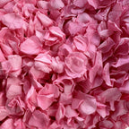 Barbie Pink - Freeze Dried Soft Rose Petal Confetti