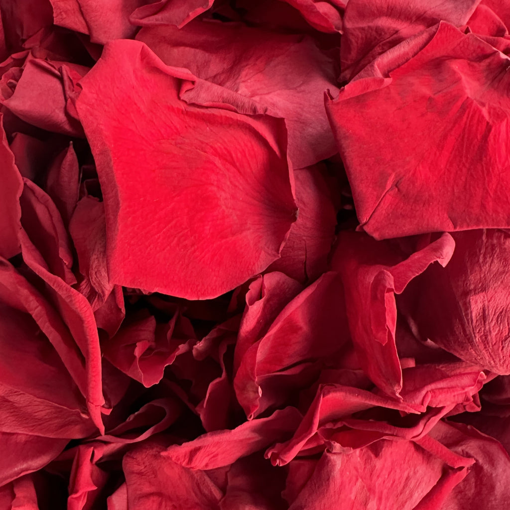 VIP Whole Box of Fleurfect Loose Freeze Dried and Preserved Petals Ruby Red