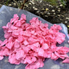 Barbie Pink - Freeze Dried Preserved Rose Petal Confetti