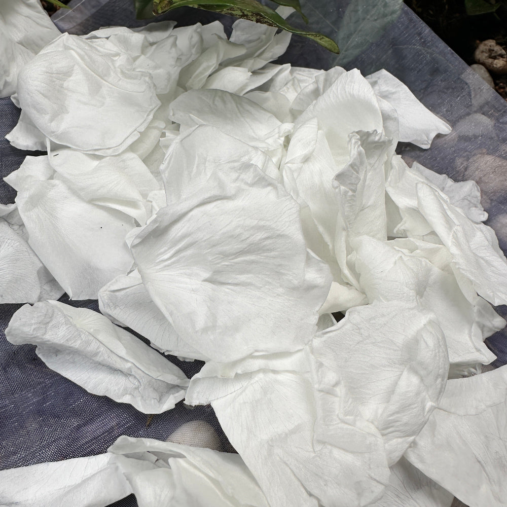 30 Guest Bespoke Value Bundle- Choose your Freeze Dried Rose Petal Confetti Colour and Cone font (Petals+Cones+Tray)