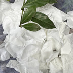 VIP Whole Box of Fleurfect Loose Freeze Dried and Preserved Petals Snow White