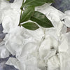 Memorial Large Organza Bag- Soft Snow White Freeze Dried petals
